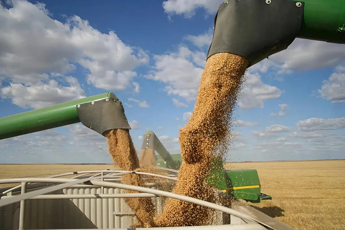 أهم المحاصيل الزراعية في الجزائر: دليل شامل للمبتدئين