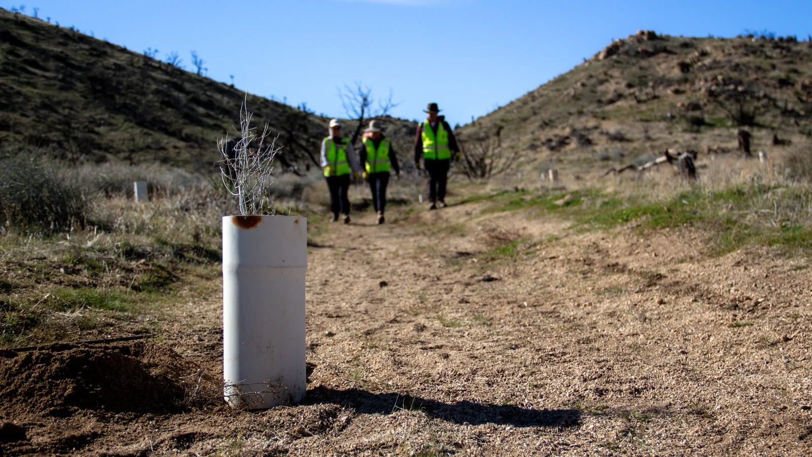 دليل المتطوع في منصة الخضراء