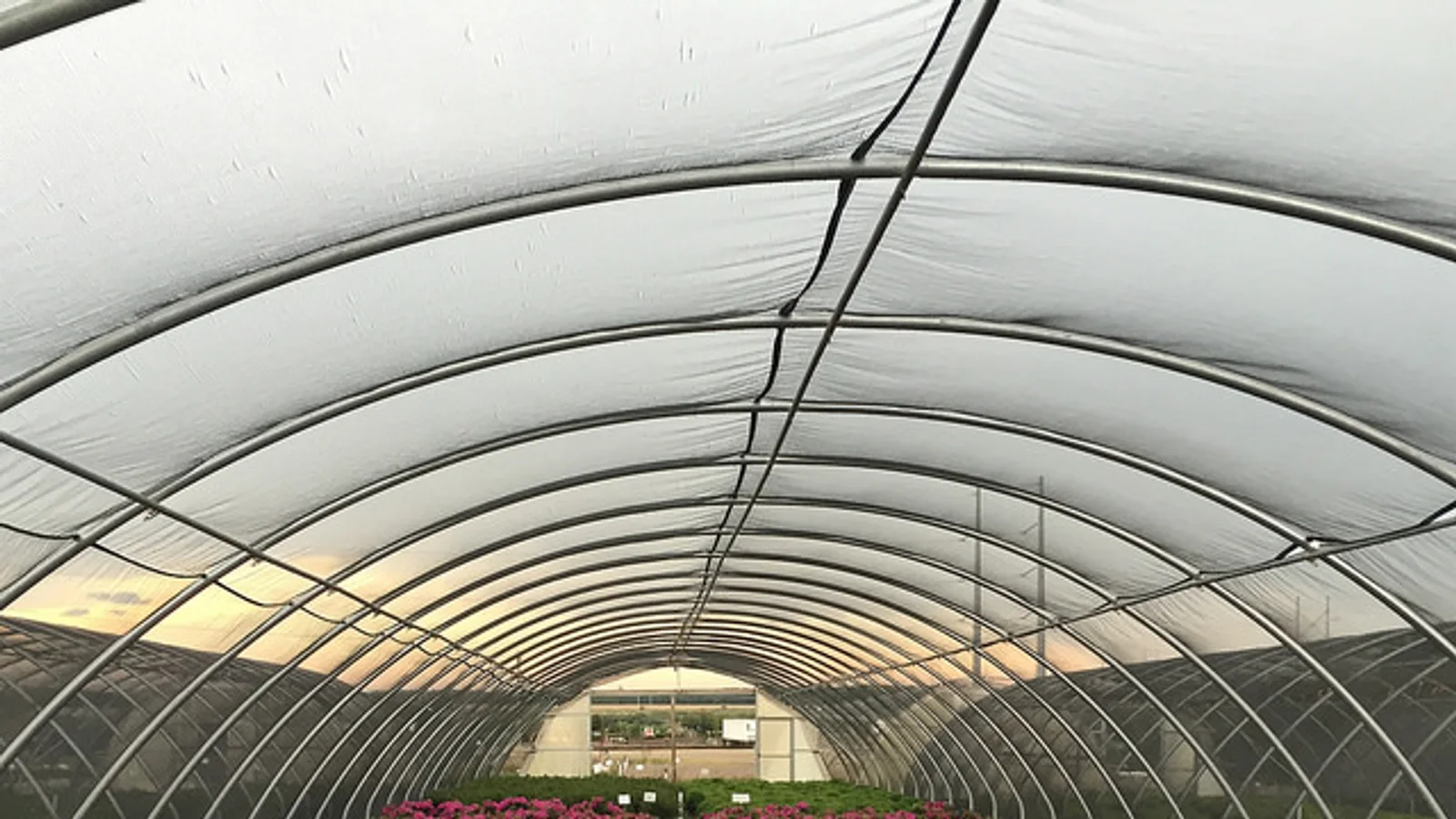 كيف تختار شتلتك من الخريطة في منصة الخضراء