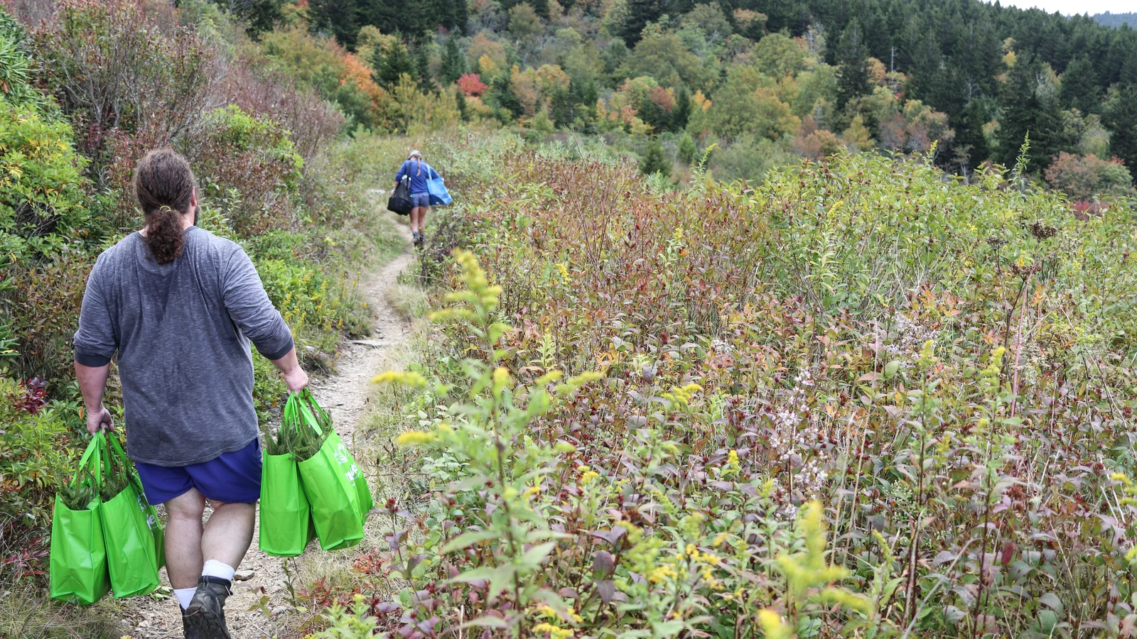 Comment rejoindre une campagne de reboisement sur ElKhadraa